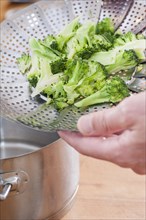 Broccoli in a steamer utensil