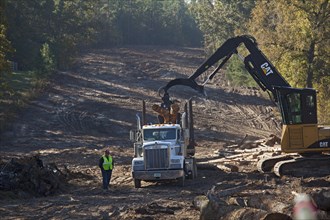 Workers clearing trees from the pathway of the southern portion of the Keystone XL pipeline