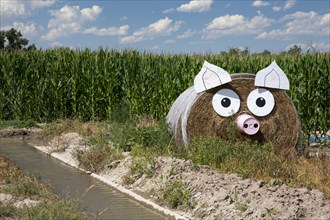 A hay bale decorated as a pig on a Nebraska farm