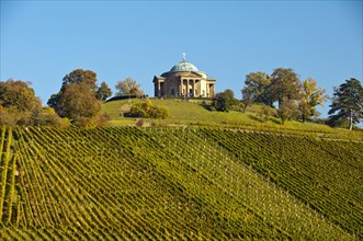 Vineyard with Lemberger grapes on Rotenberg Mountain with Wuerttemberg Mausoleum near Stuttgart