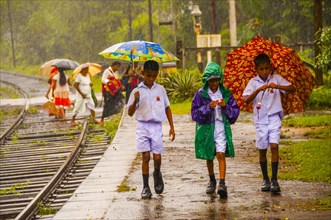 Sinhala students with umbrellas in heavy rain