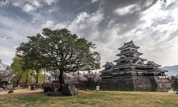 Old Japanese Castle