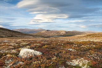 Autumnal Tundral landscape in Dovrefjell