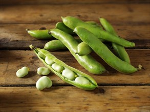 Fresh Broad beans in their pods