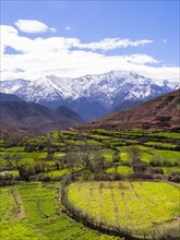 View of the Atlas Mountains