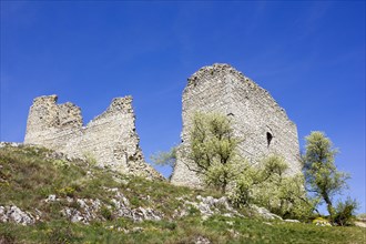 The ruins of Sirotci Hradek castle