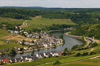The town of Machtum on a loop of the Moselle river