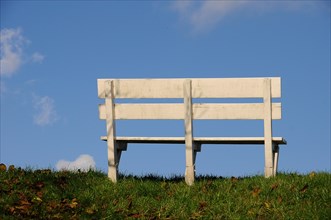 White bench