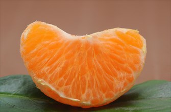Piece of mandarine