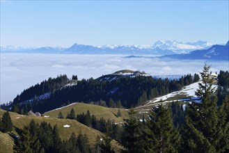 View from Mt Napf across a sea of fog in the Swiss Alps or Central Alps with Mt Rigi