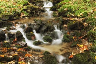 Wildbach stream in autumn