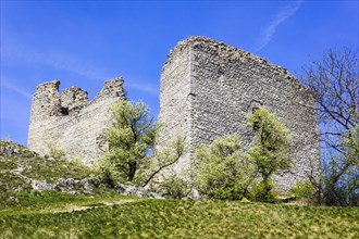The ruins of the castle Sirotci Hradek