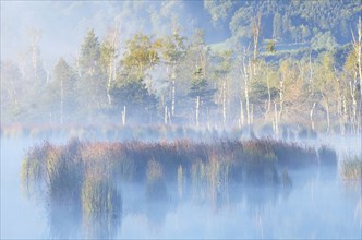 Morning mist over moorland pond