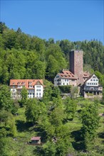 Burg Liebenzell Castle