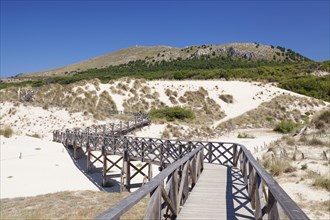 Boardwalk through the dunes at the back of the Cala Mesquita beach