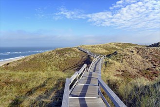 The boardwalk leads through the dunes to the beach of Wenningstedt