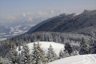 View from the peak of Mt Schwarzenberg to a snow-covered alpine upland and the Chiemgau Alps