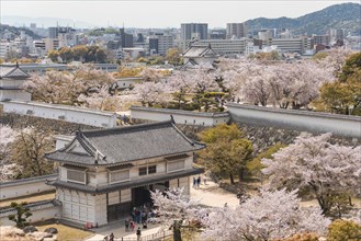 Outside Himeji Castle