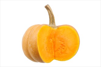 Squash or pumpkin
