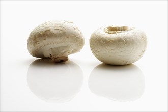 Champignons or Button Mushrooms (Agaricus)