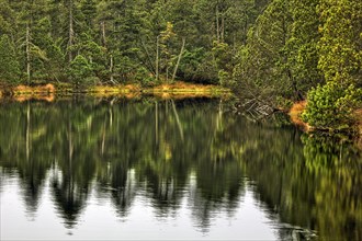 Great Moss Lake or Velke mechove jezirko