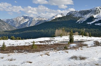 View of the San Juan Mountains as seen from Molas Divide