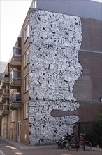 Graffiti on house facade in the form of a face