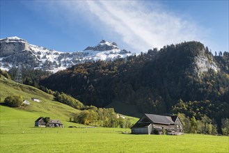 View over a pasture to the snow-capped Appenzell Alps
