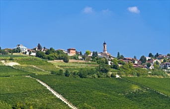 The wine-growing village Treiso