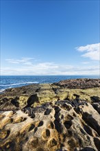 Rugged coastline with eroded sandstone on the Moray Firth at Tarbat Ness
