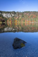 Autumnal forest at Feldsee Lake with reflections