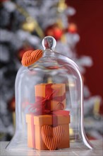Gifts under a glass bell with Christmas ambience