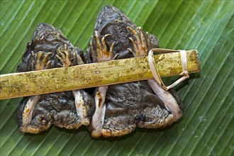 Two grilled frogs tied to a bamboo stick served on a banana leaf