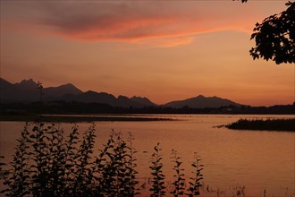 Lake Forggensee with mountain silhouettes in afterglow