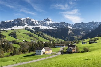 Green pastures in Appenzellerland in front of the snow-capped Appenzell Alps