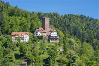 Burg Liebenzell Castle