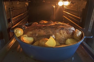 Roast duck with potatoes in a roasting pan in the oven