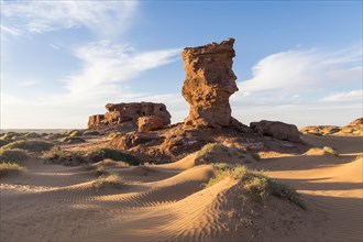 Evening light in the Sahara near Timimoun