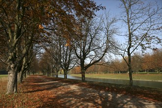 Tree-lined walk