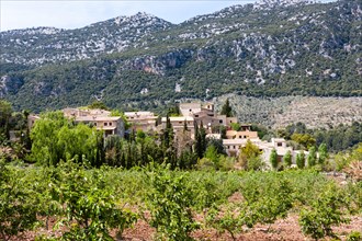 View of the village of Orient