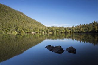 Lake Feldsee on a late summer day