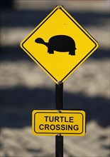Yellow warning sign 'turtle crossing'
