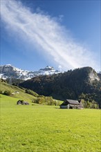 View over a pasture to the snow-capped Appenzell Alps