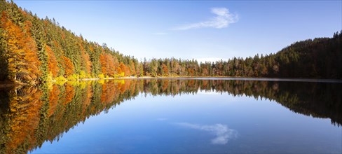Autumn at Feldsee Lake with reflections near Mt Feldberg