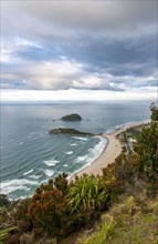 View to beach of Tauranga