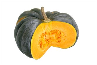 Squash or pumpkin