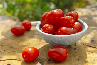 Fresh plum tomatoes