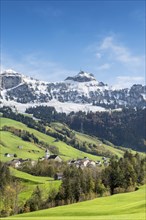 Green pastures in Appenzellerland with the community of Bruelisau and the snow-capped Appenzell Alps