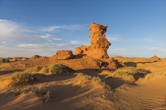 Evening light in the Sahara near Timimoun