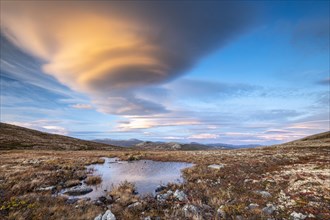 Autumnal Tundral landscape in Dovrefjell at evening mood